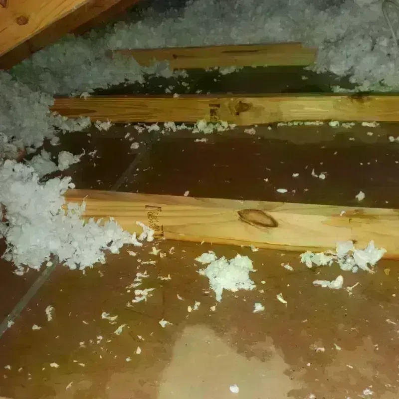 Attic Water Damage in South Pasadena, FL